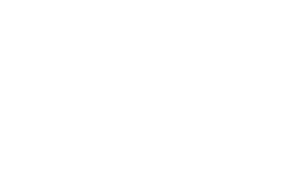 Transgrúas Onubenses